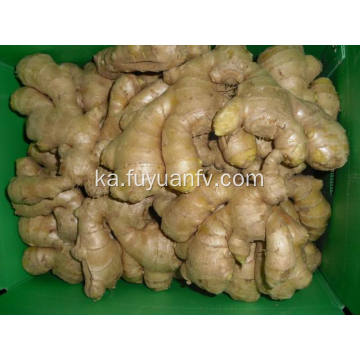 საჰაერო გამხმარი Ginger Uk